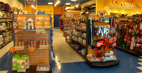 英國(guó)在線寵物用品銷(xiāo)售熱潮 商鋪旺鋪現(xiàn)象解析